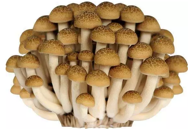 http://www.henbo123.cn/ewebeditor/uploadfile/20170914091421667001.png