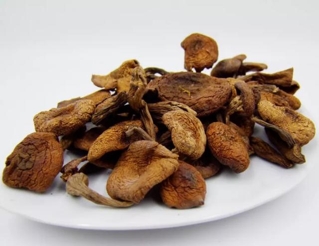 國家蘑菇地理：中國哪里的蘑菇最好吃？