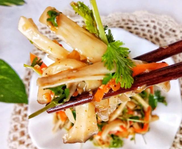 國家蘑菇地理：中國哪里的蘑菇最好吃？